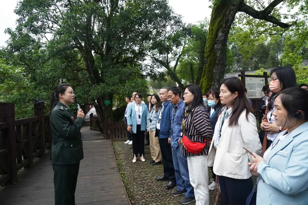 管家婆马报彩图